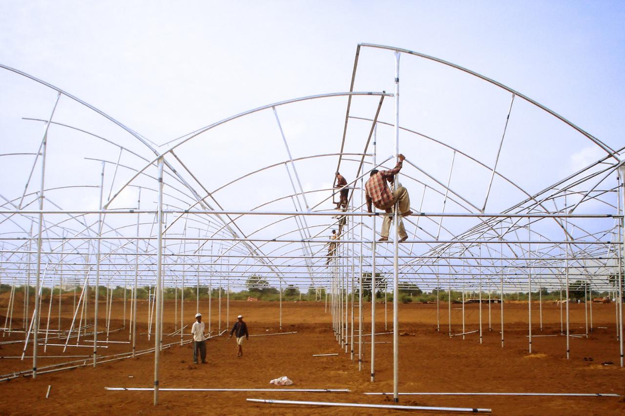 Greenhouse Project 66